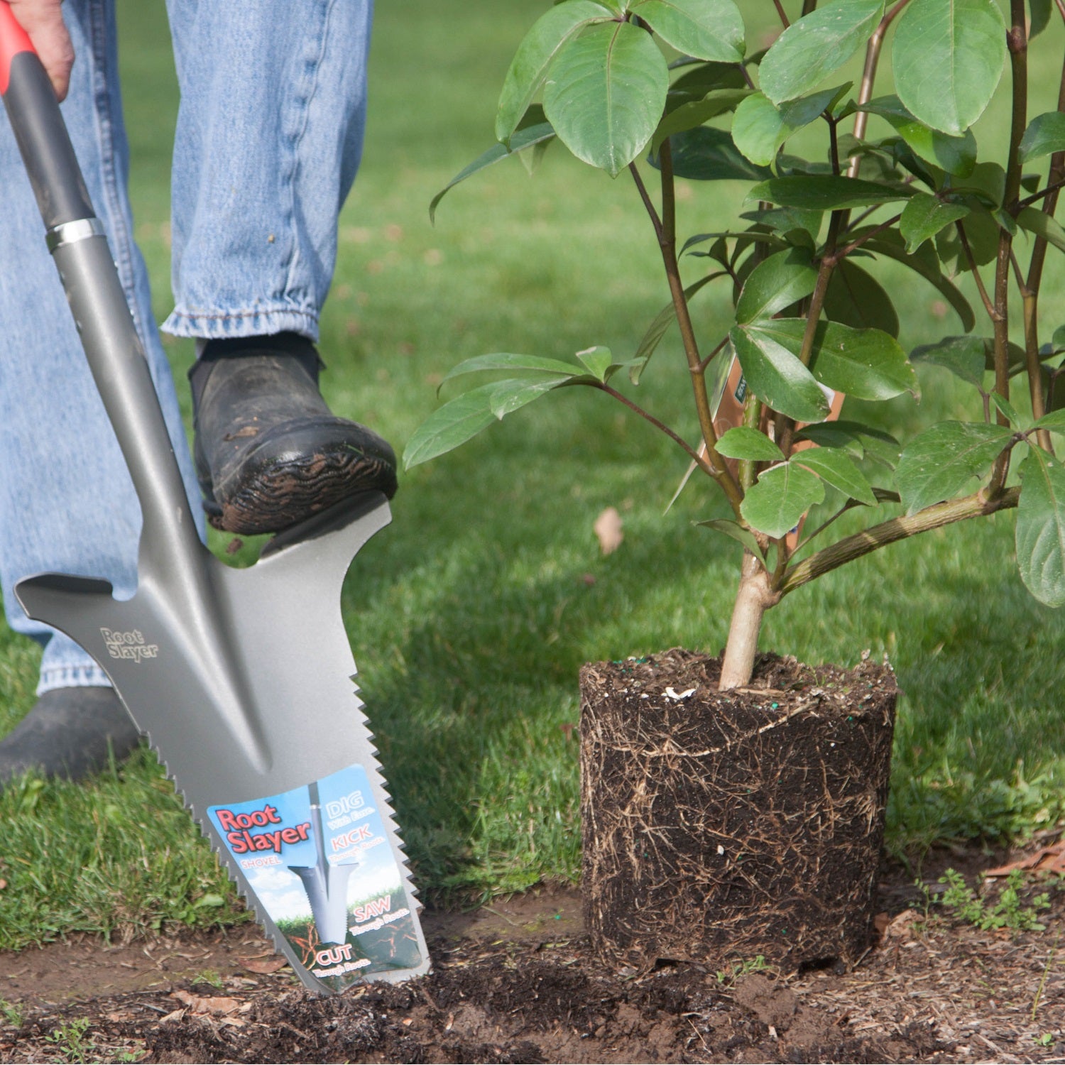 Root Slayer – Radius Garden