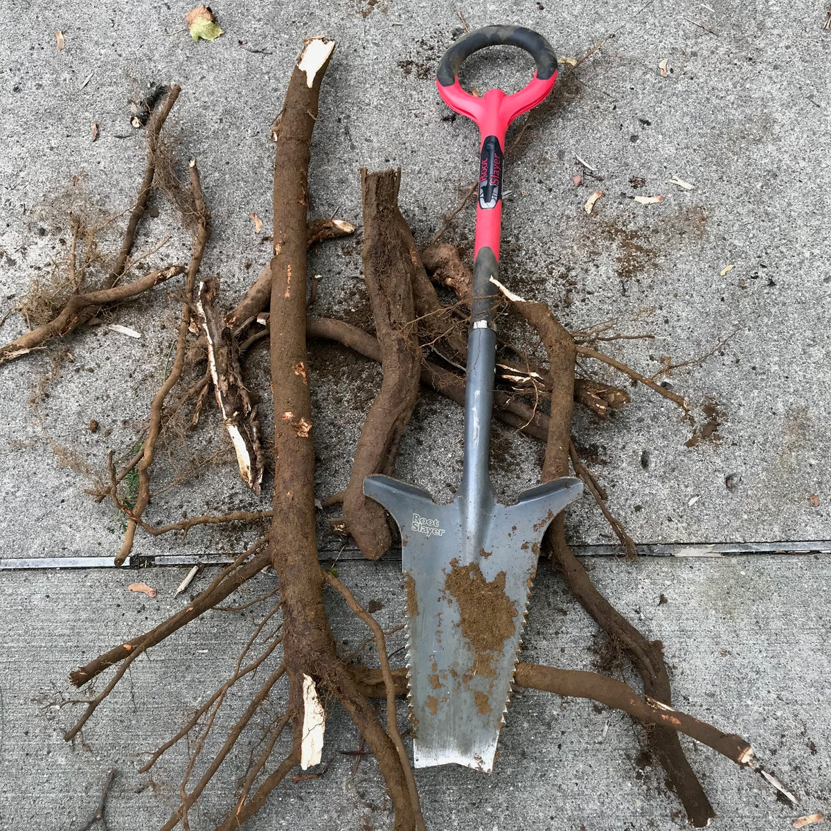 Root Slayer – Radius Garden